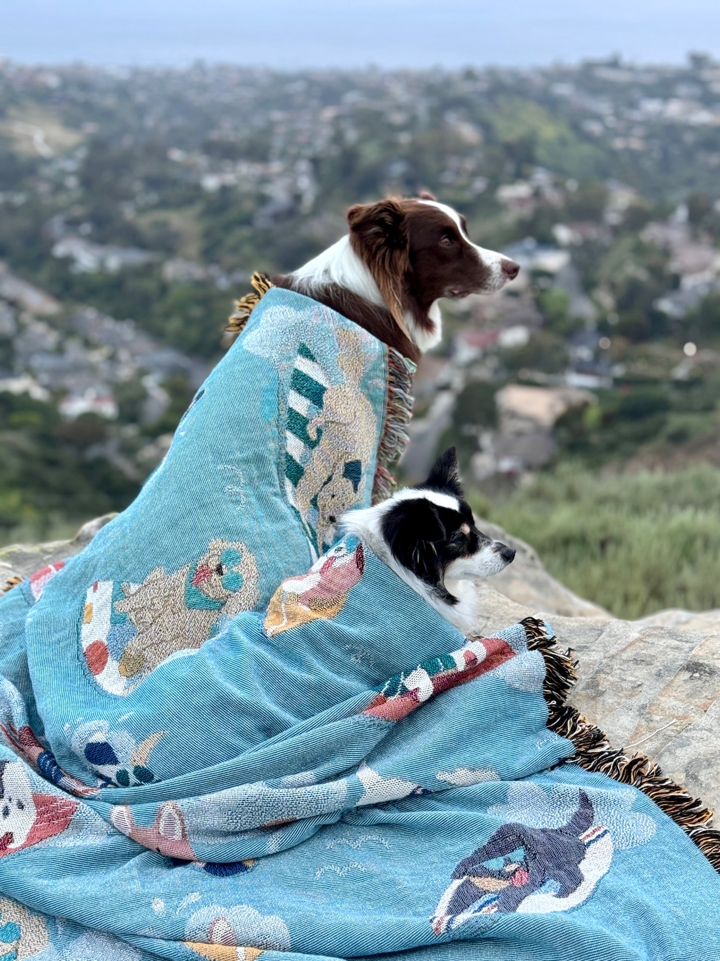 Surfing Dogs Blanket