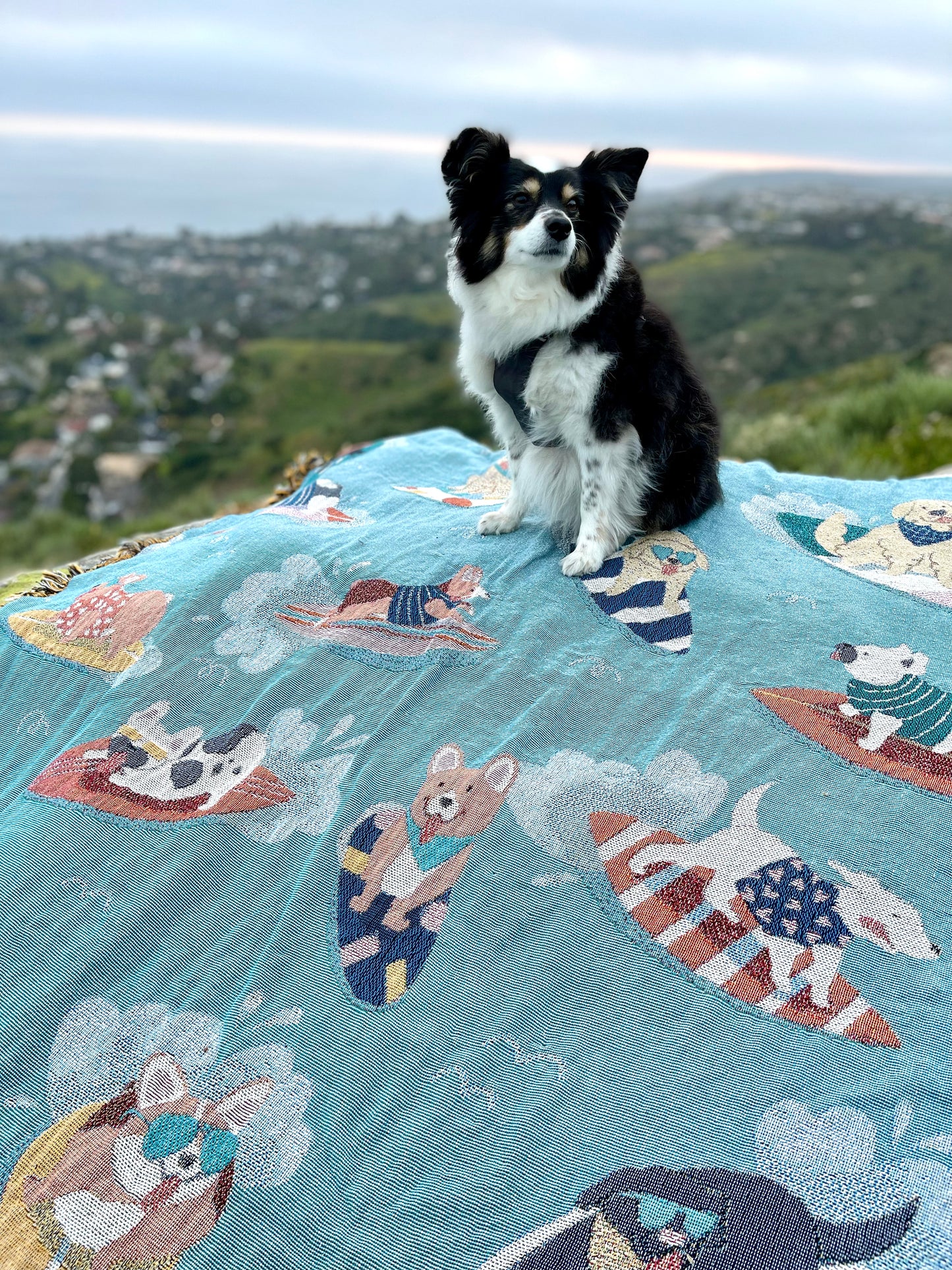 Surfing Dogs Blanket