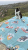 Surfing Dogs Blanket